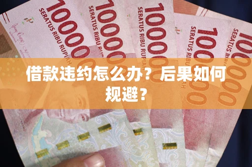 北京借款违约怎么办？后果如何规避？